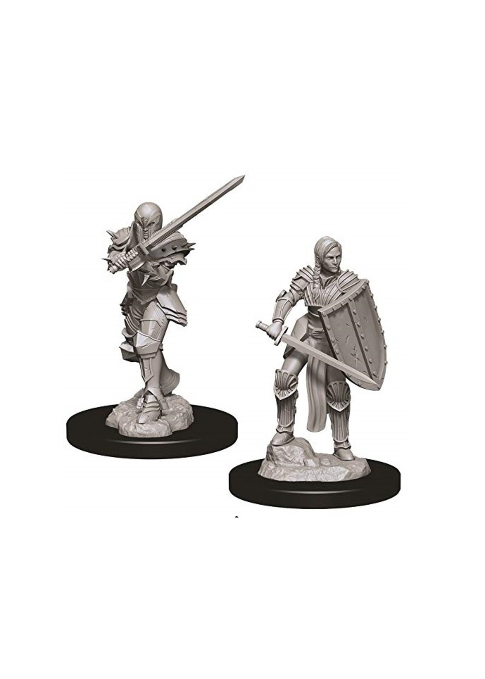 Wizkids D&D Nolzur's Marvelous Miniatures Human Fighter Female