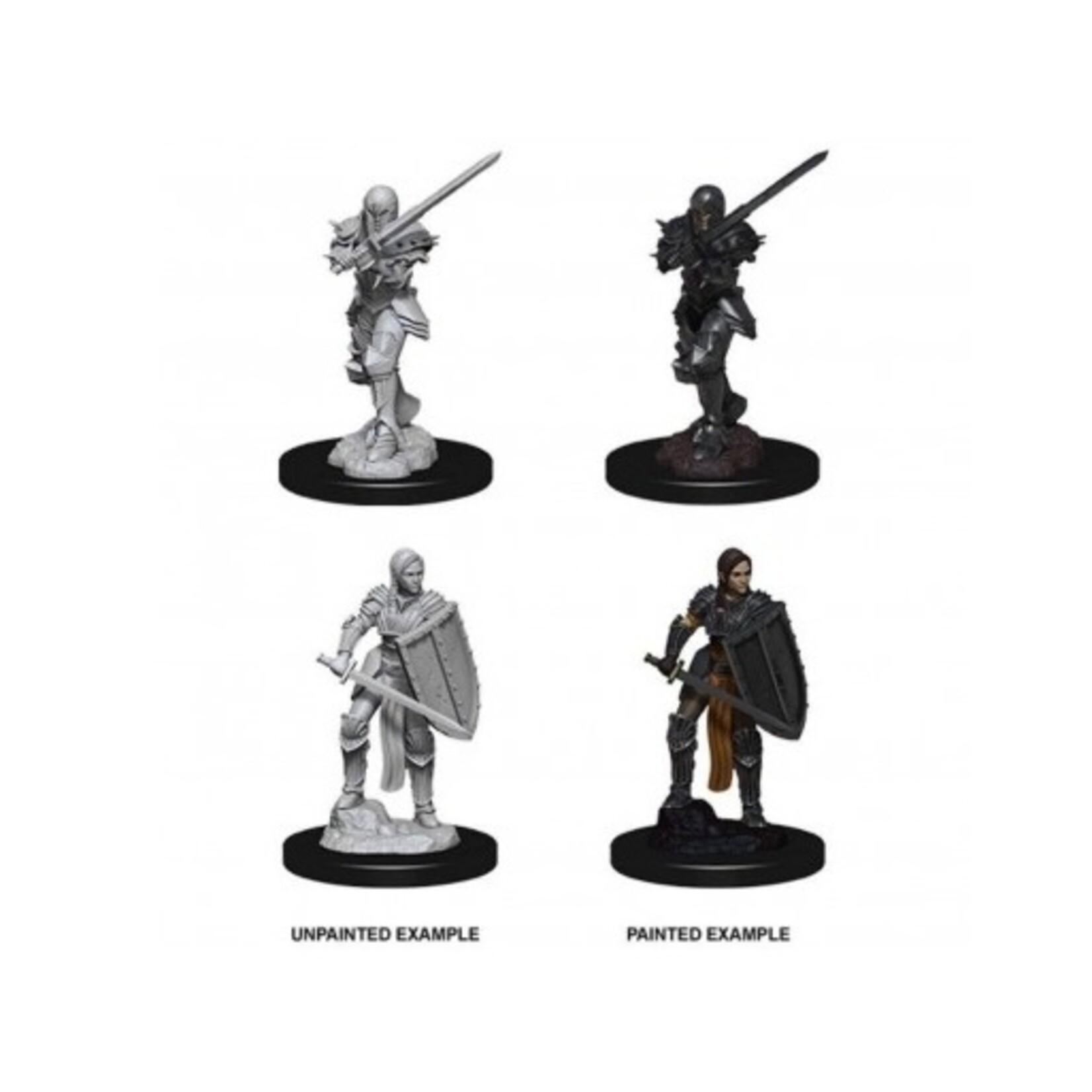 Wizkids D&D Nolzur's Marvelous Miniatures Human Fighter Female