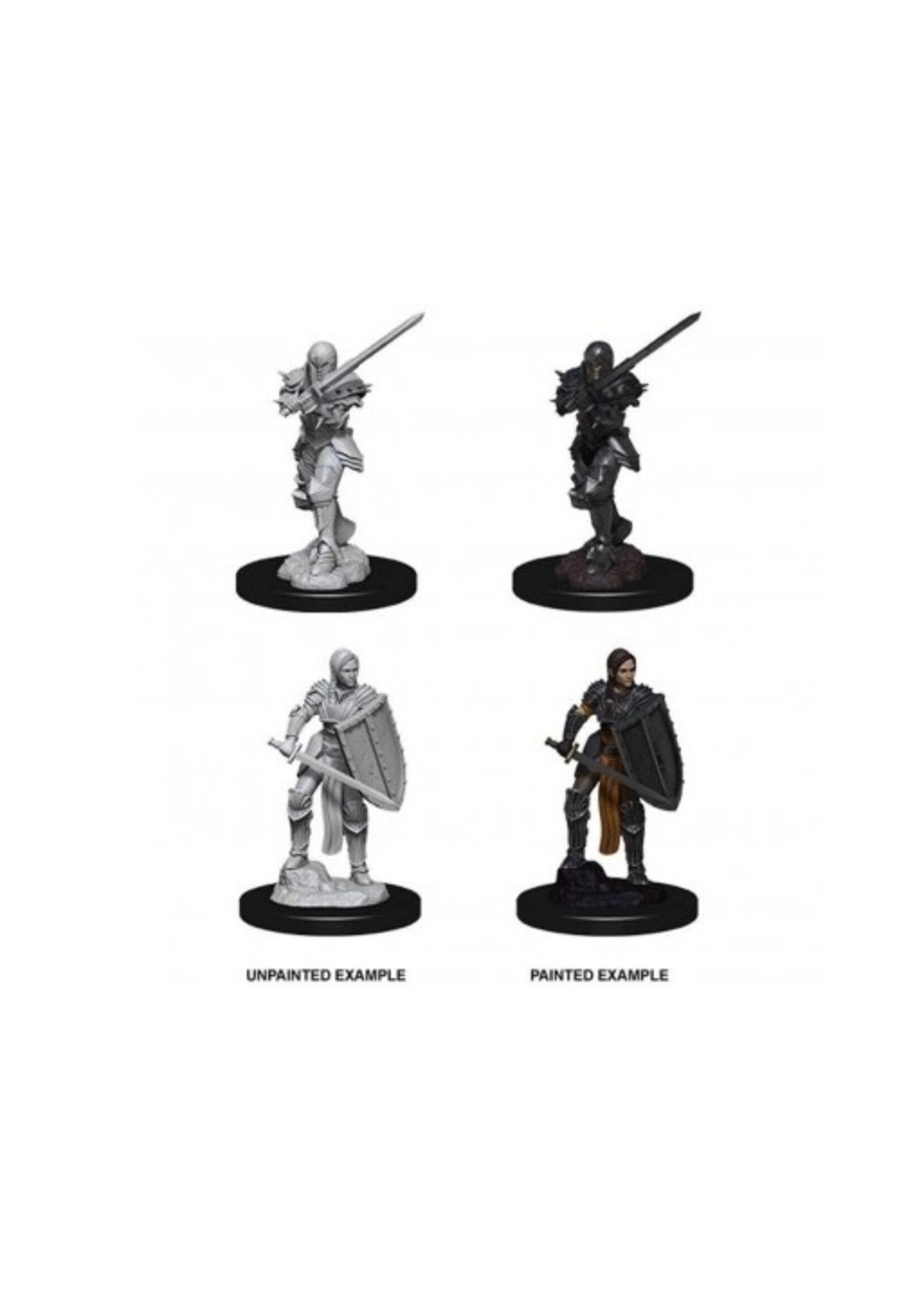 Wizkids D&D Nolzur's Marvelous Miniatures Human Fighter Female