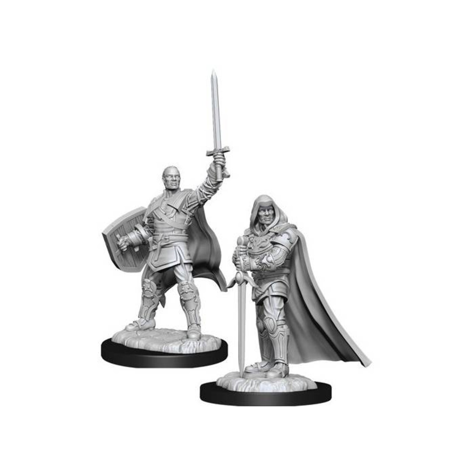 Wizkids D&D Nolzur's Marvelous Miniatures Human Paladin Male 3