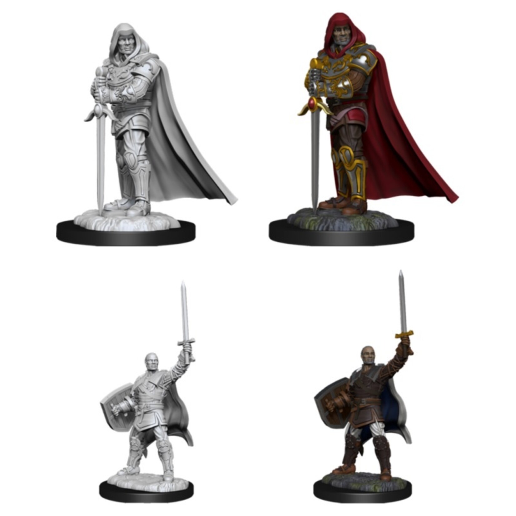 Wizkids D&D Nolzur's Marvelous Miniatures Human Paladin Male 3