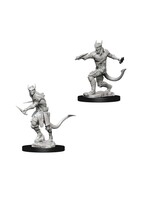 Wizkids D&D Nolzur's Marvelous Miniatures Tiefling Rogue Male