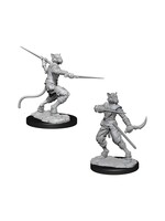 Wizkids D&D Nolzur's Marvelous Miniatures Tabaxi Rogue Male