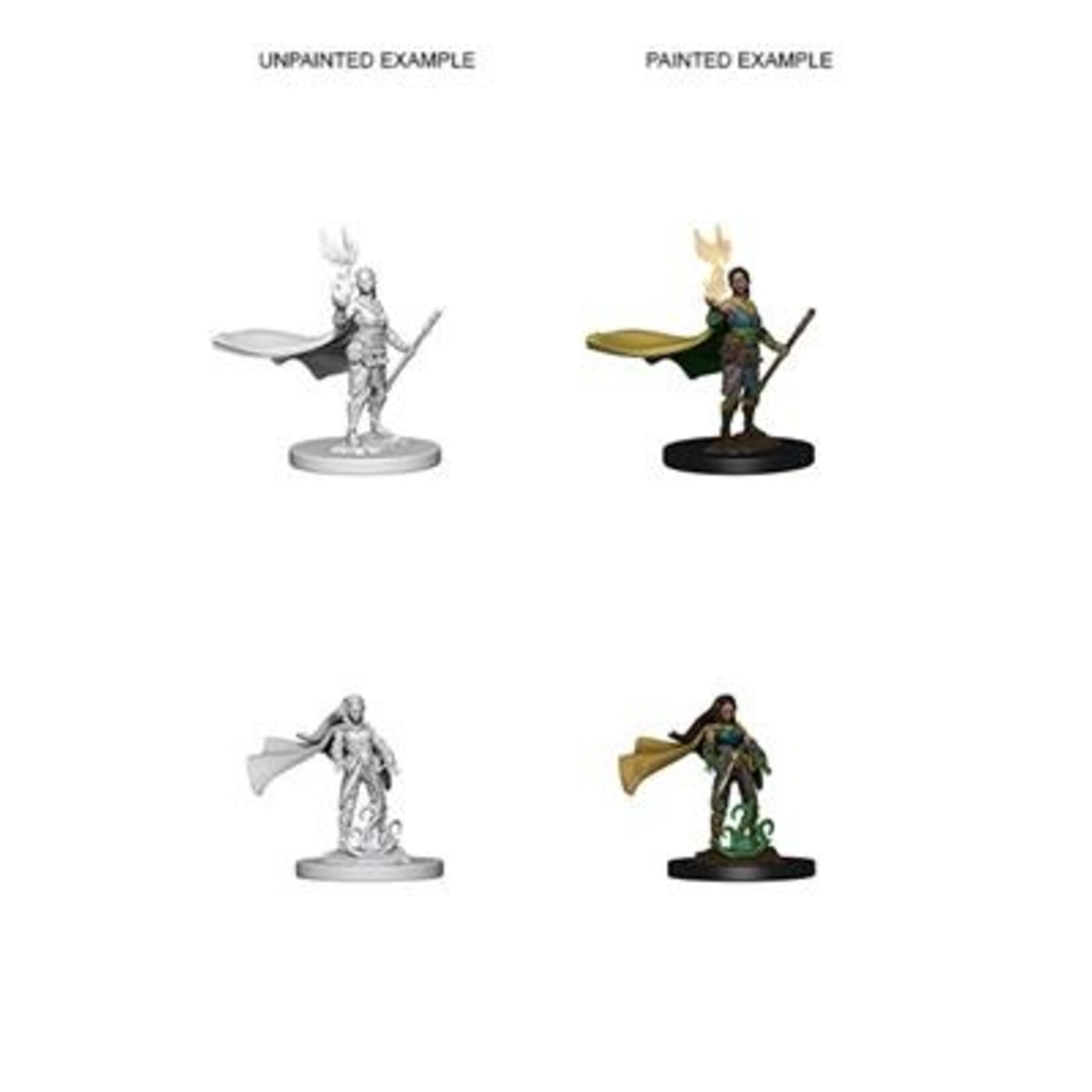 Wizkids D&D Nolzur's Marvelous Miniatures Elf Druid Female +
