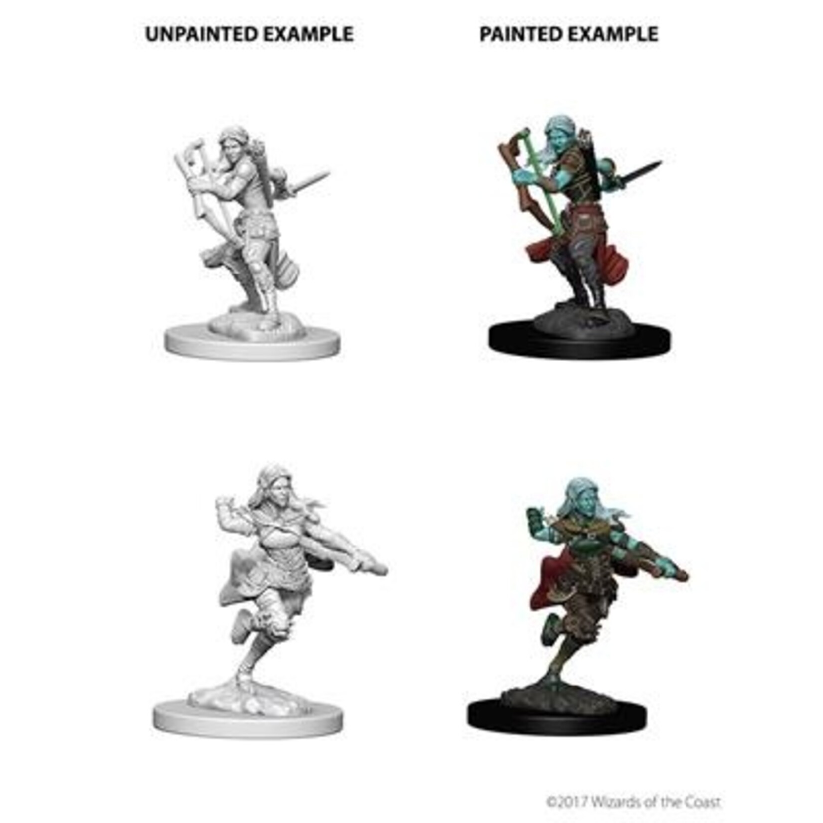 Wizkids D&D Nolzur's Marvelous Miniatures Air Genasi Rogue Female +