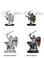 Wizkids D&D Nolzur's Marvelous Miniatures Aasimar Paladin Male