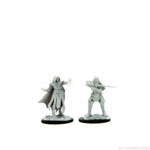 Wizkids D&D Nolzur's Marvelous Miniatures Hobgoblin Fighter Male & Wizard Female +