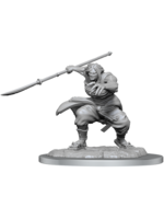 Wizkids D&D Nolzur's Marvelous Miniatures Oni Female