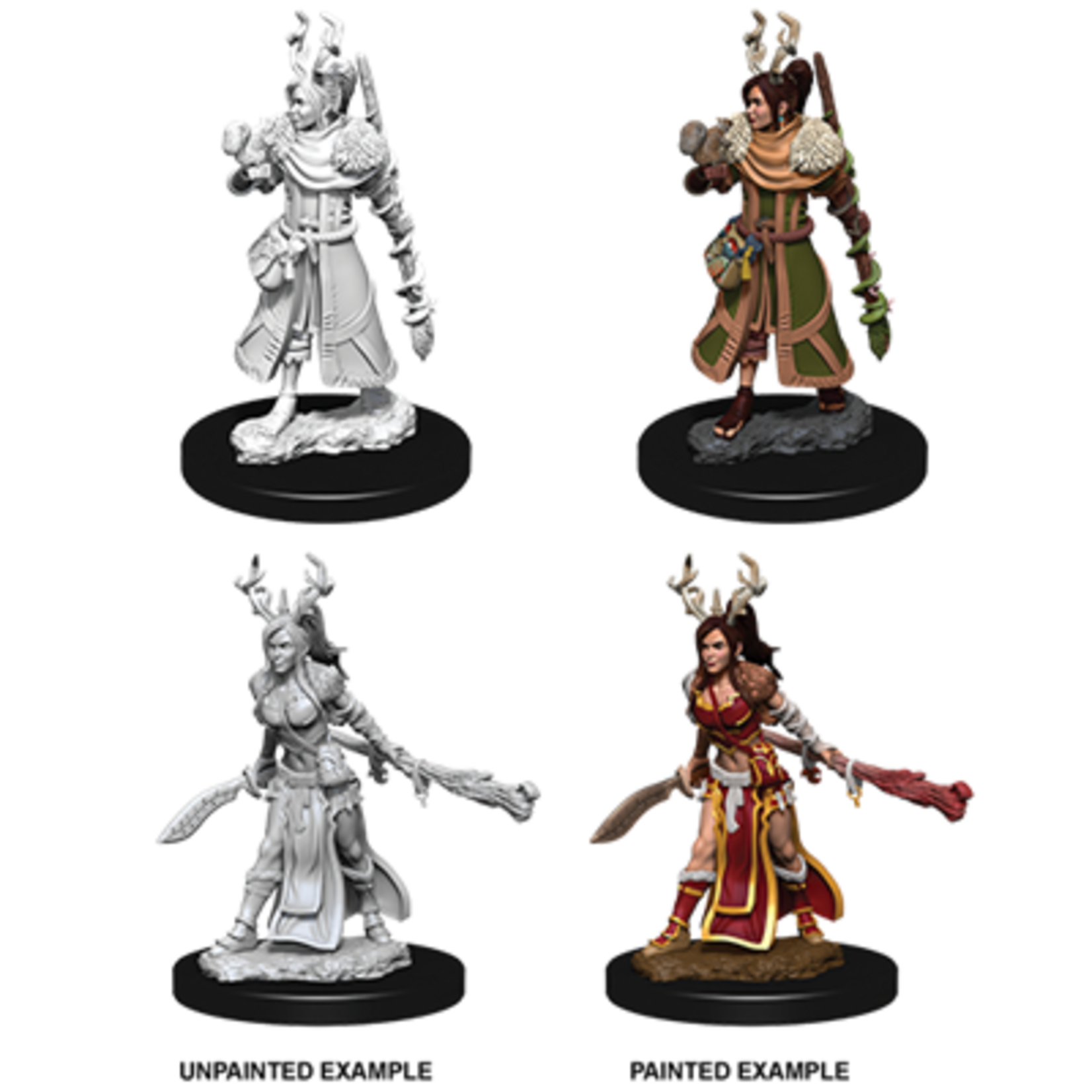 Wizkids D&D Nolzur's Marvelous Miniatures Human Druid Female 3 +