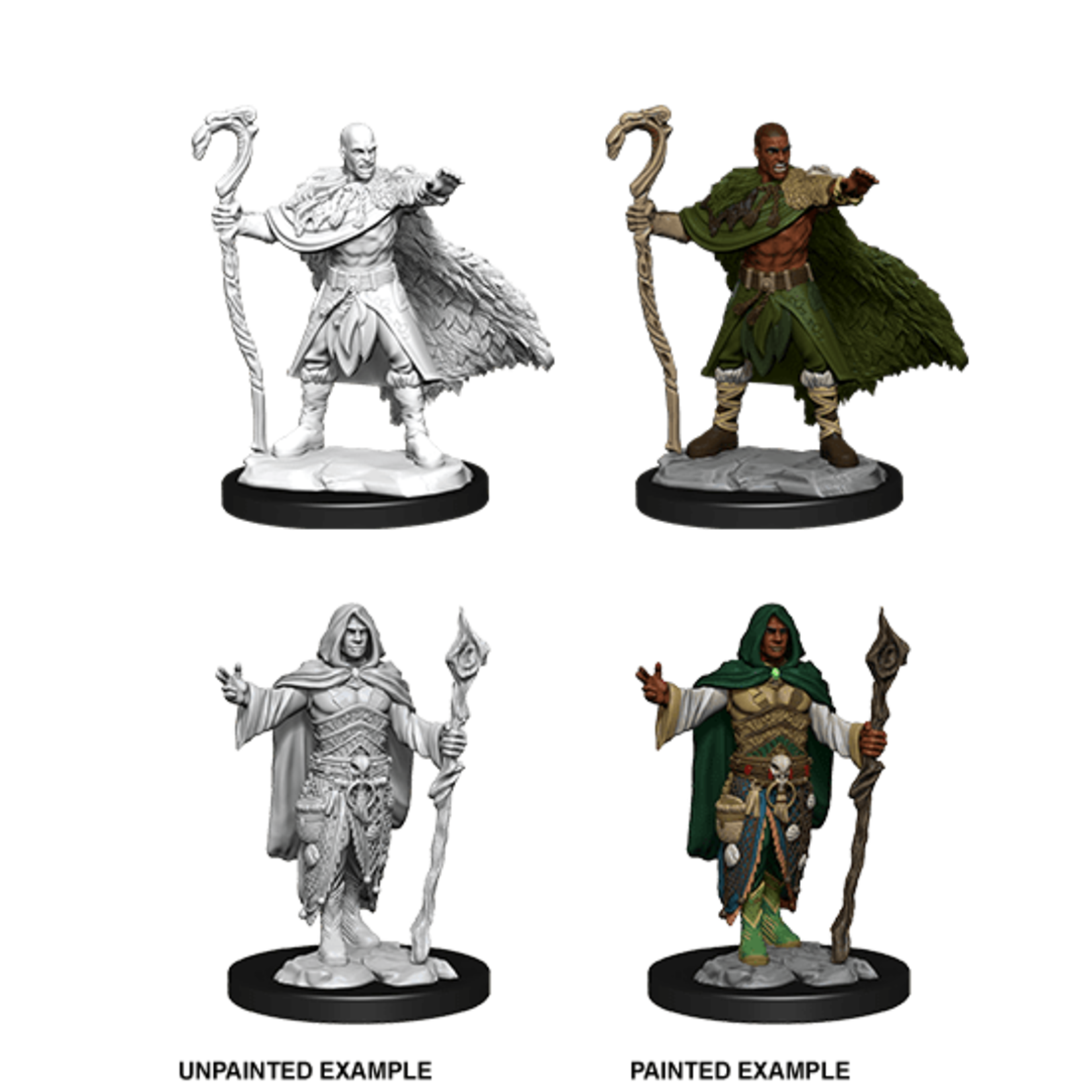 Wizkids D&D Nolzur's Marvelous Miniatures Human Druid Male +