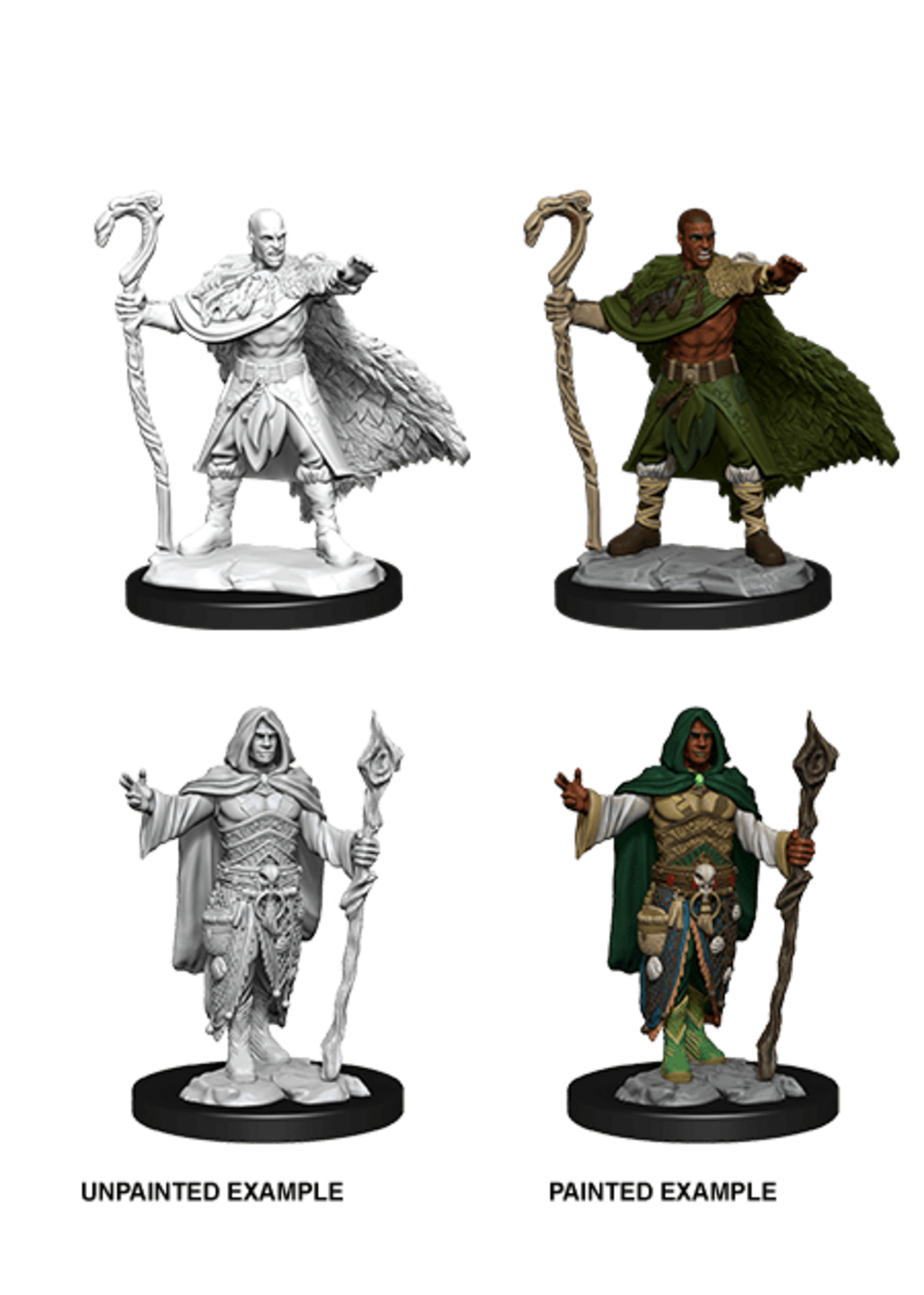 Wizkids D&D Nolzur's Marvelous Miniatures Human Druid Male