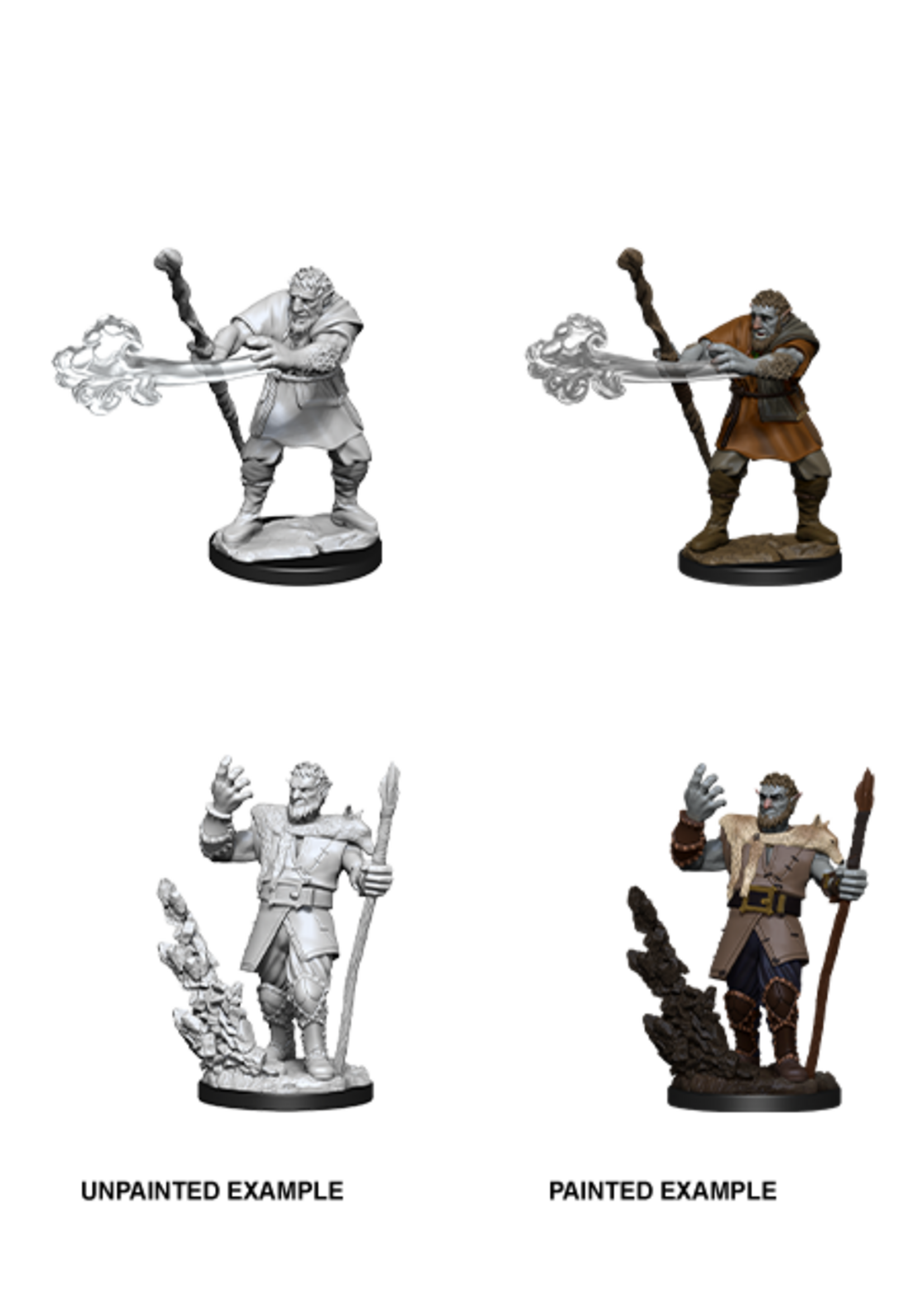 Wizkids D&D Nolzur's Marvelous Miniatures Firbolg Druid Male