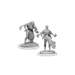 Wizkids D&D Nolzur's Marvelous Miniatures Nosferatu