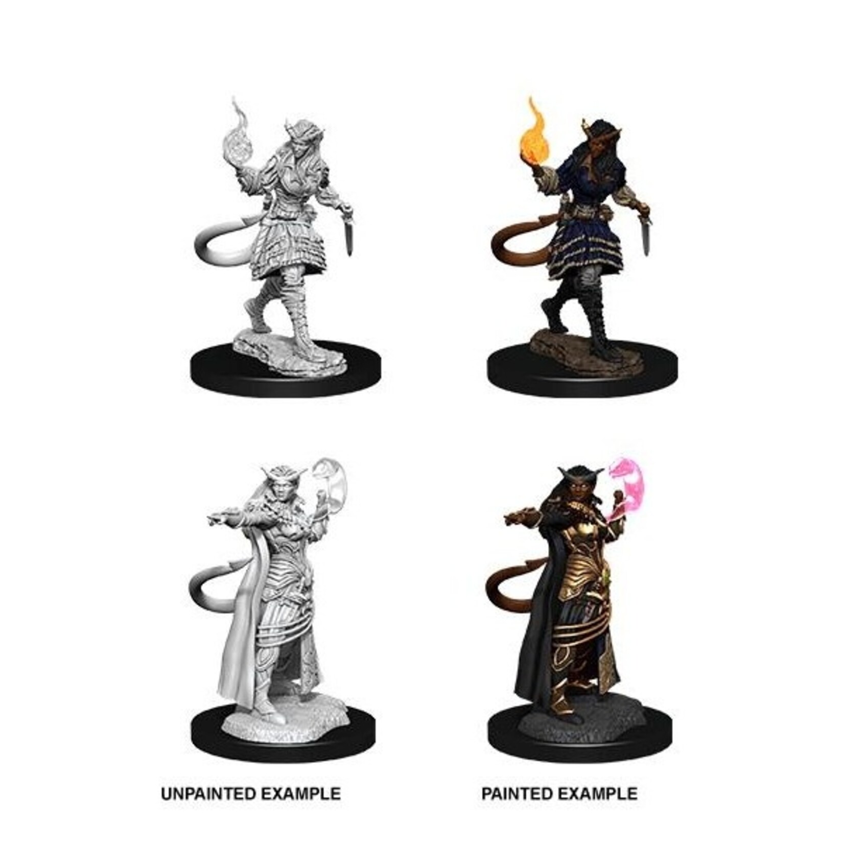 Wizkids D&D Nolzur's Marvelous Miniatures Tiefling Sorcerer Female 2