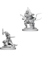 Wizkids D&D Nolzur's Marvelous Miniatures Githzerai