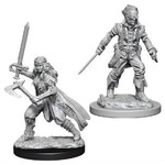 Wizkids D&D Nolzur's Marvelous Miniatures Vampire Hunters