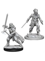 Wizkids D&D Nolzur's Marvelous Miniatures Vampire Hunters
