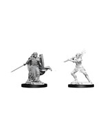 Wizkids D&D Nolzur's Marvelous Miniatures Human Paladin Female