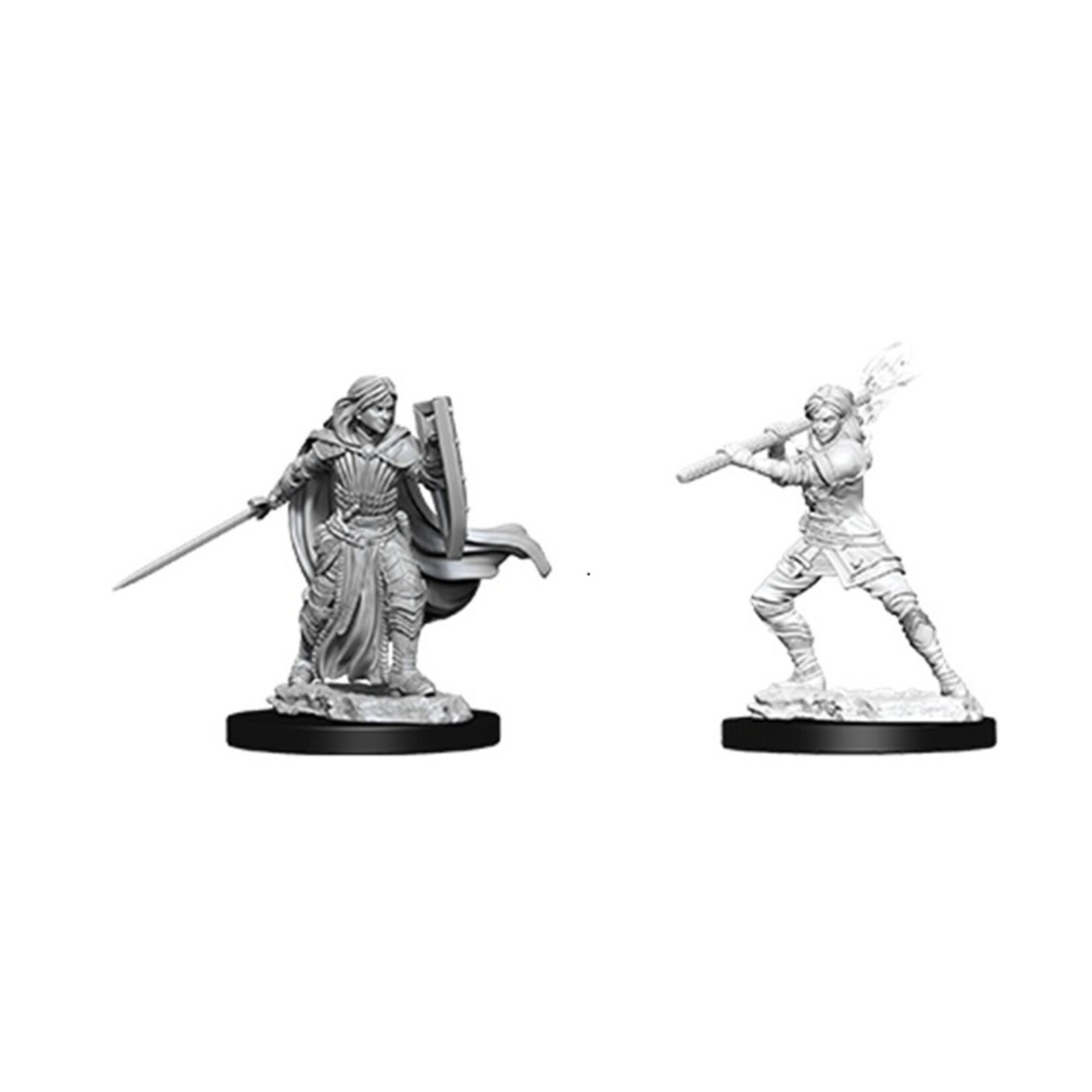 Wizkids D&D Nolzur's Marvelous Miniatures Human Paladin Female