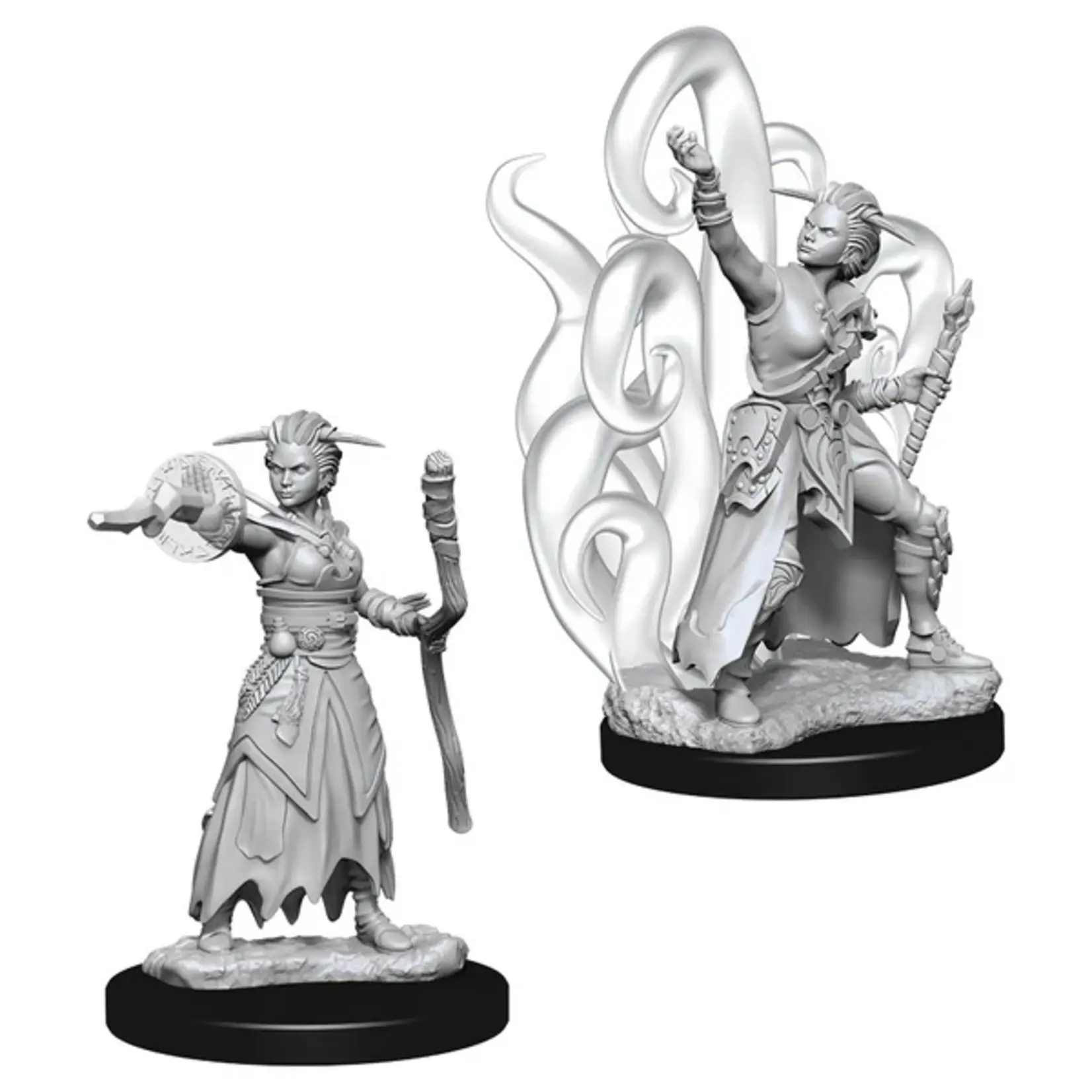 Wizkids D&D Nolzur's Marvelous Miniatures Human Warlock Female
