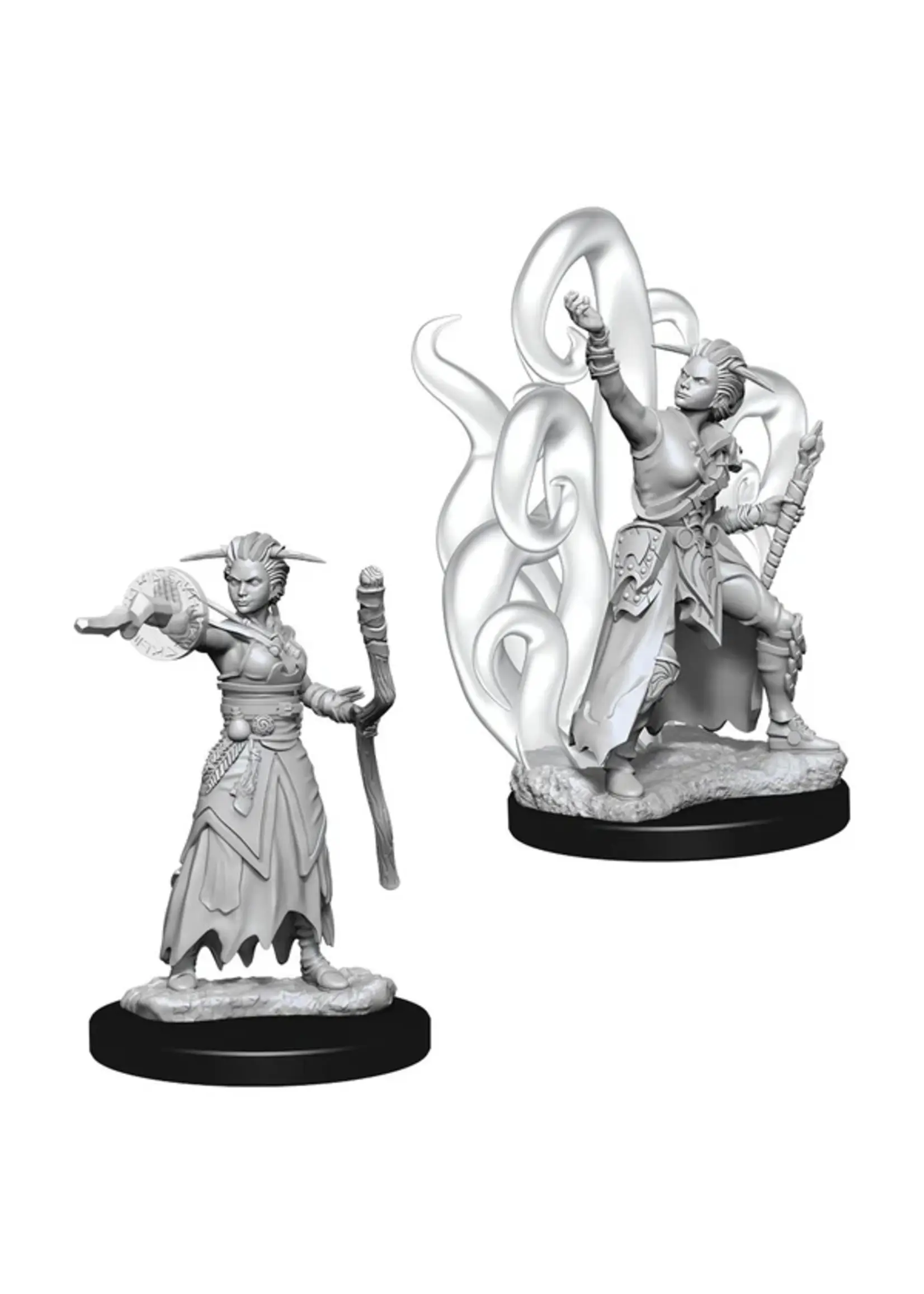Wizkids D&D Nolzur's Marvelous Miniatures Human Warlock Female