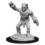 Wizkids D&D Nolzur's Marvelous Miniatures Stone Golem