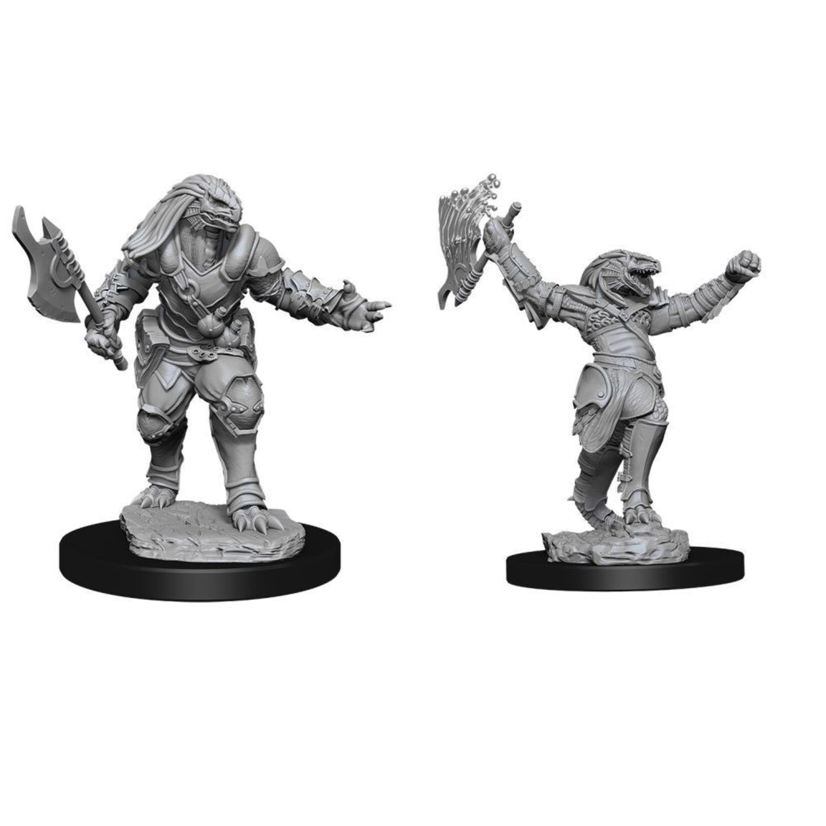 Wizkids D&D Nolzur's Marvelous Miniatures Dragonborn Fighter Female 2