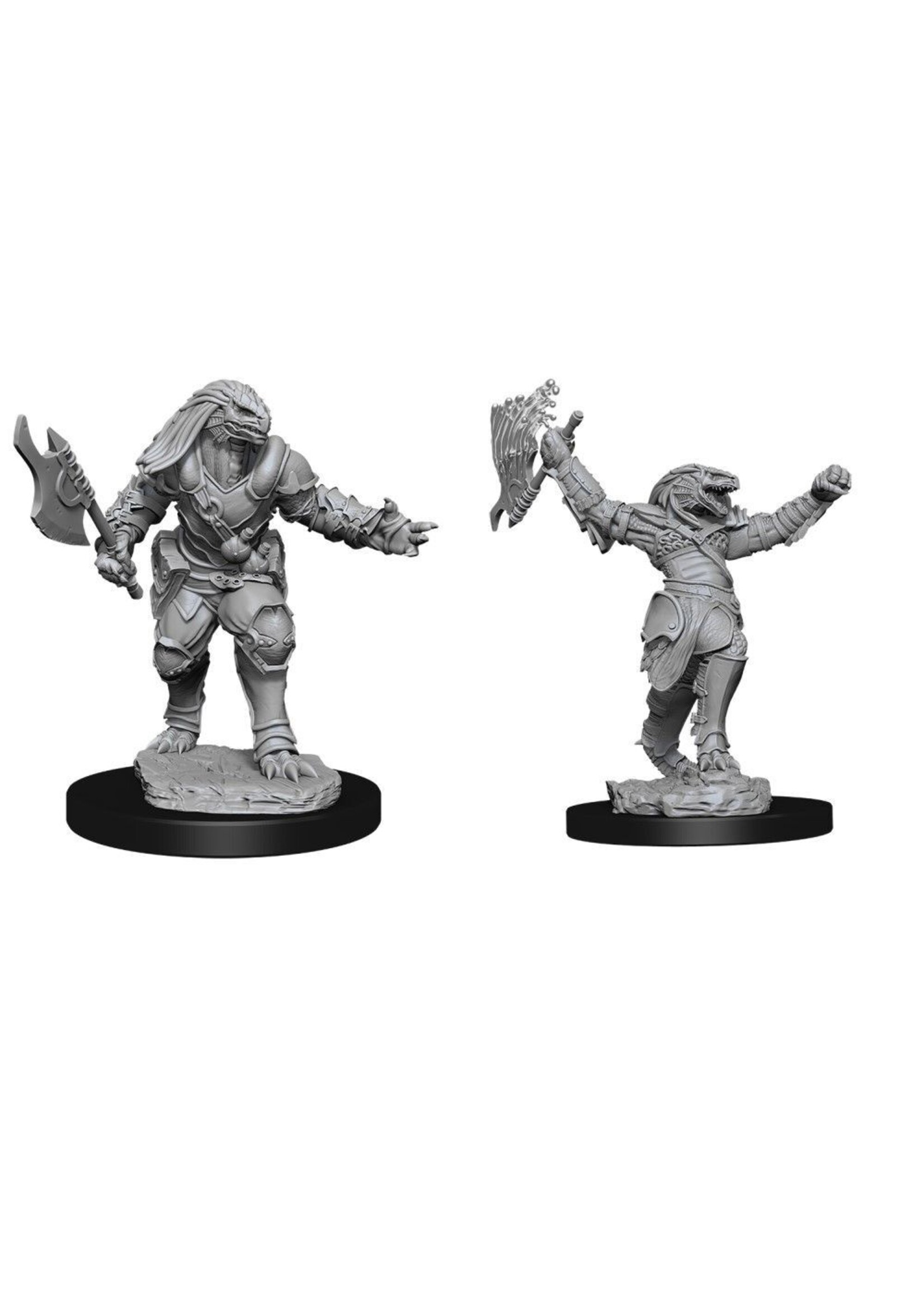 Wizkids D&D Nolzur's Marvelous Miniatures Dragonborn Fighter Female 2