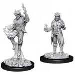 Wizkids D&D Nolzur's Marvelous Miniatures Tiefling Sorcerer Male 2
