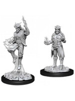 Wizkids D&D Nolzur's Marvelous Miniatures Tiefling Sorcerer Male 2