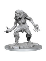Wizkids D&D Nolzur's Marvelous Miniatures Ice Troll Female
