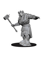 Wizkids D&D Nolzur's Marvelous Miniatures Fire Giant