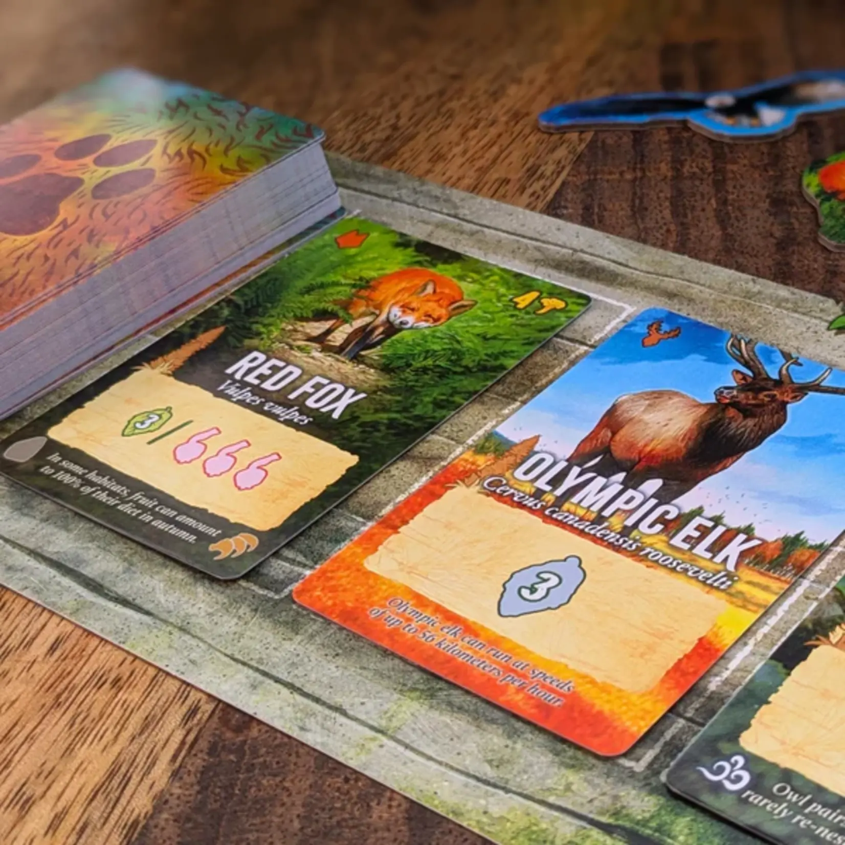 Weird City Games Canopy: Evergreen Edition (EN)