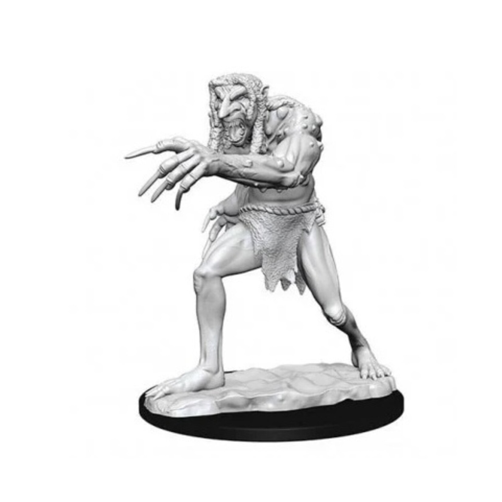 Wizkids D&D Nolzur's Marvelous Miniatures Troll