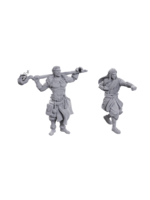 Wizkids D&D Nolzur's Marvelous Miniatures Archdruid & Martial Art Adept