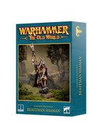 Games Workshop Beastmen Brayherds Beastman Shaman