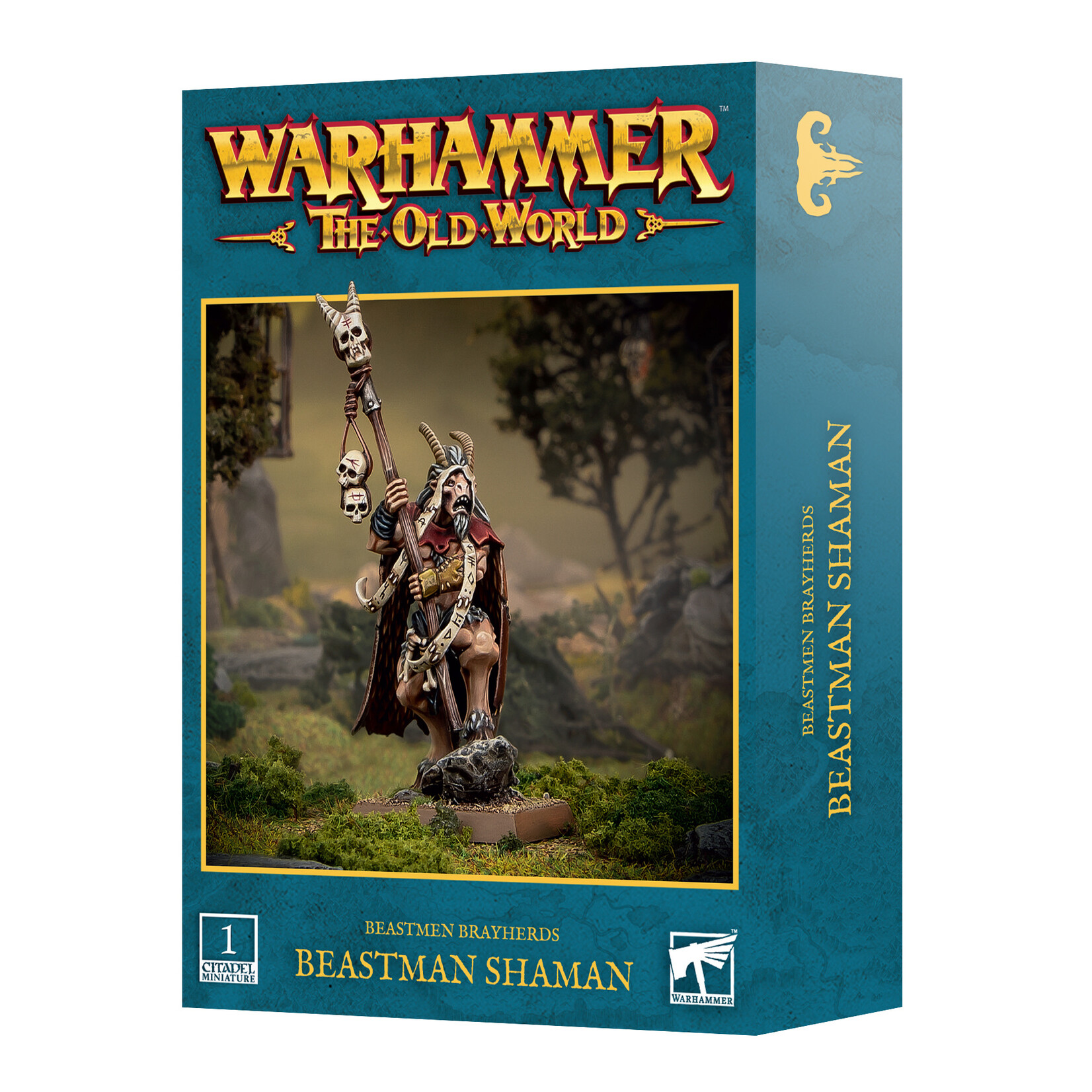 Games Workshop Beastmen Brayherds Beastman Shaman