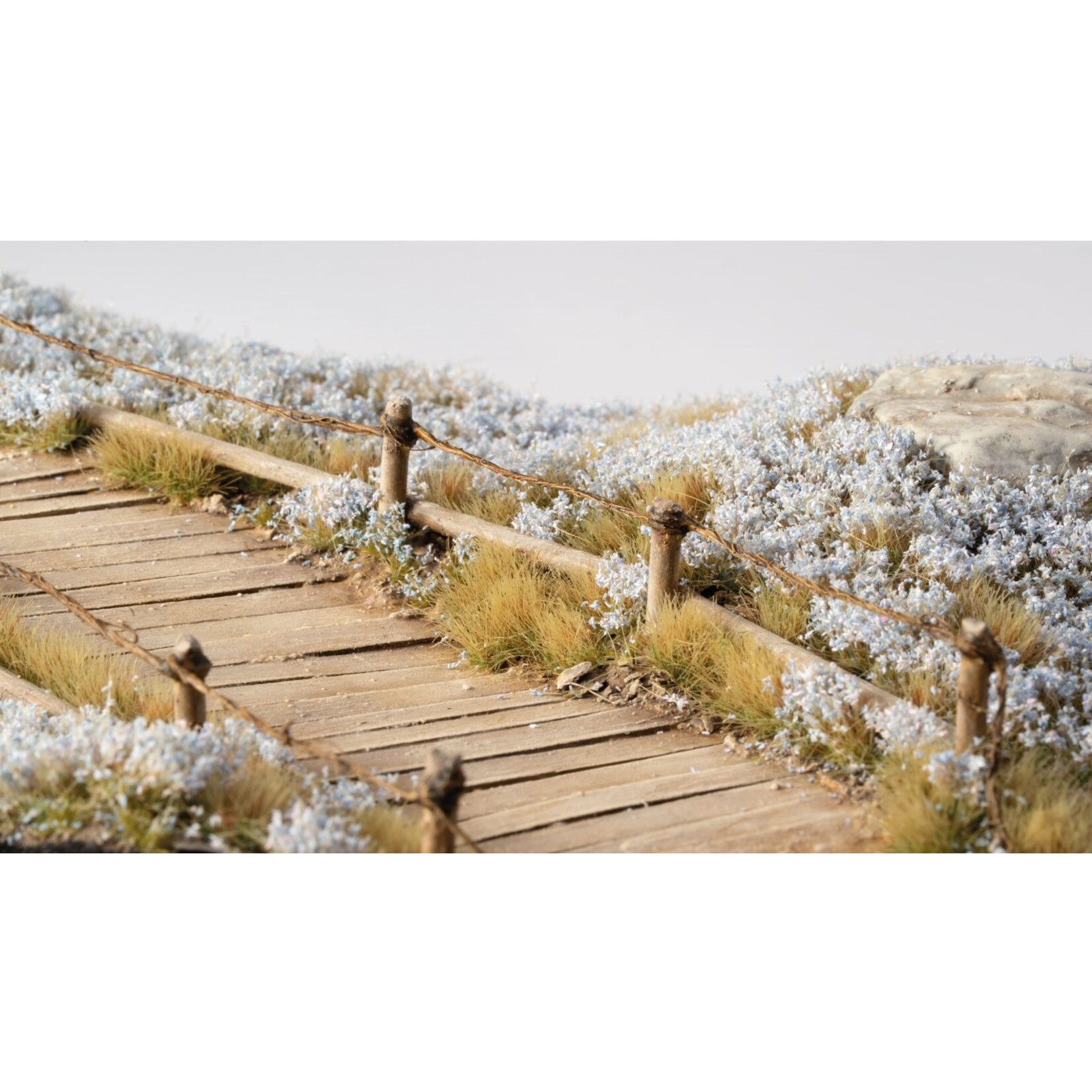 Gamers Grass Light Blue Lilac Flowers