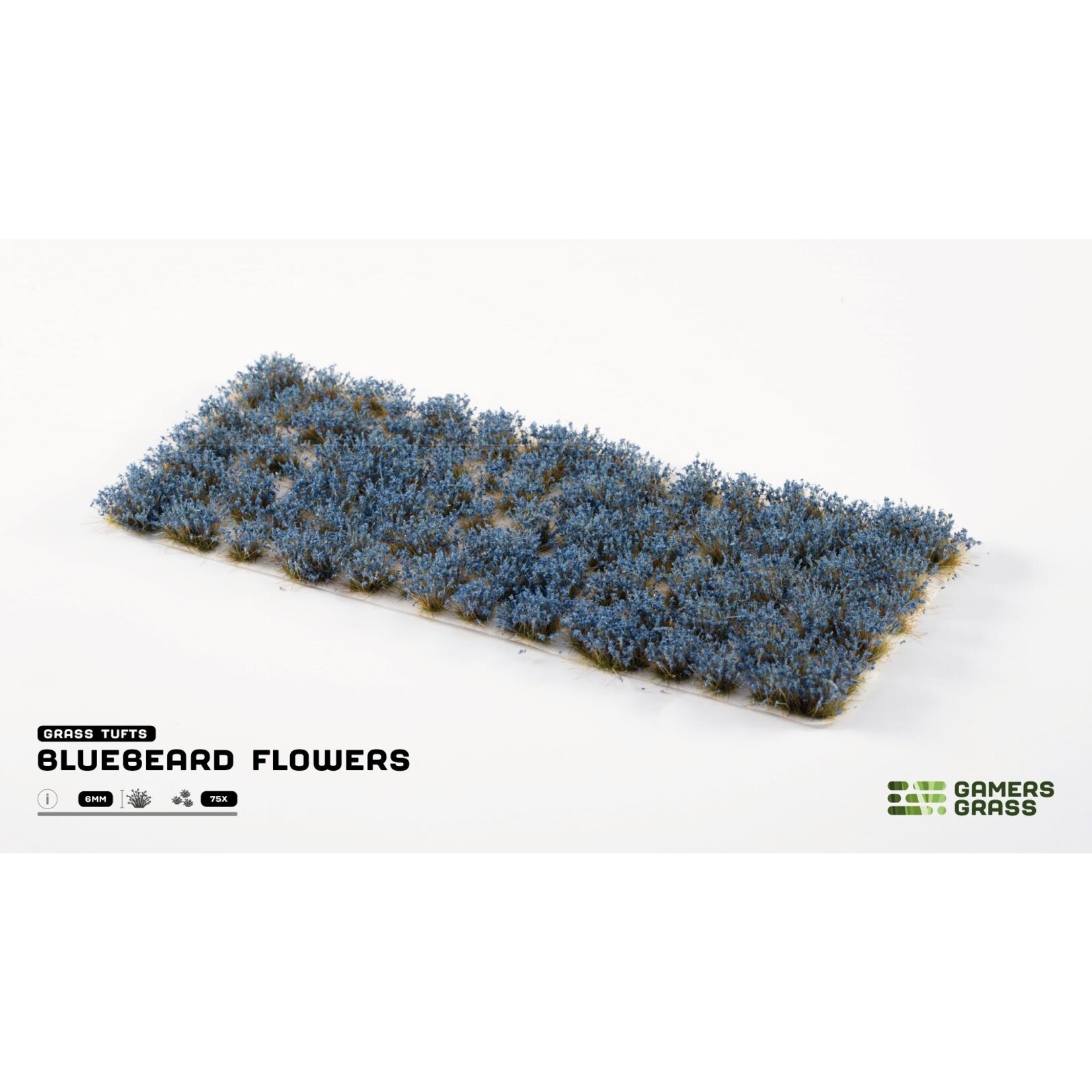 Gamers Grass Bluebeard Flowers