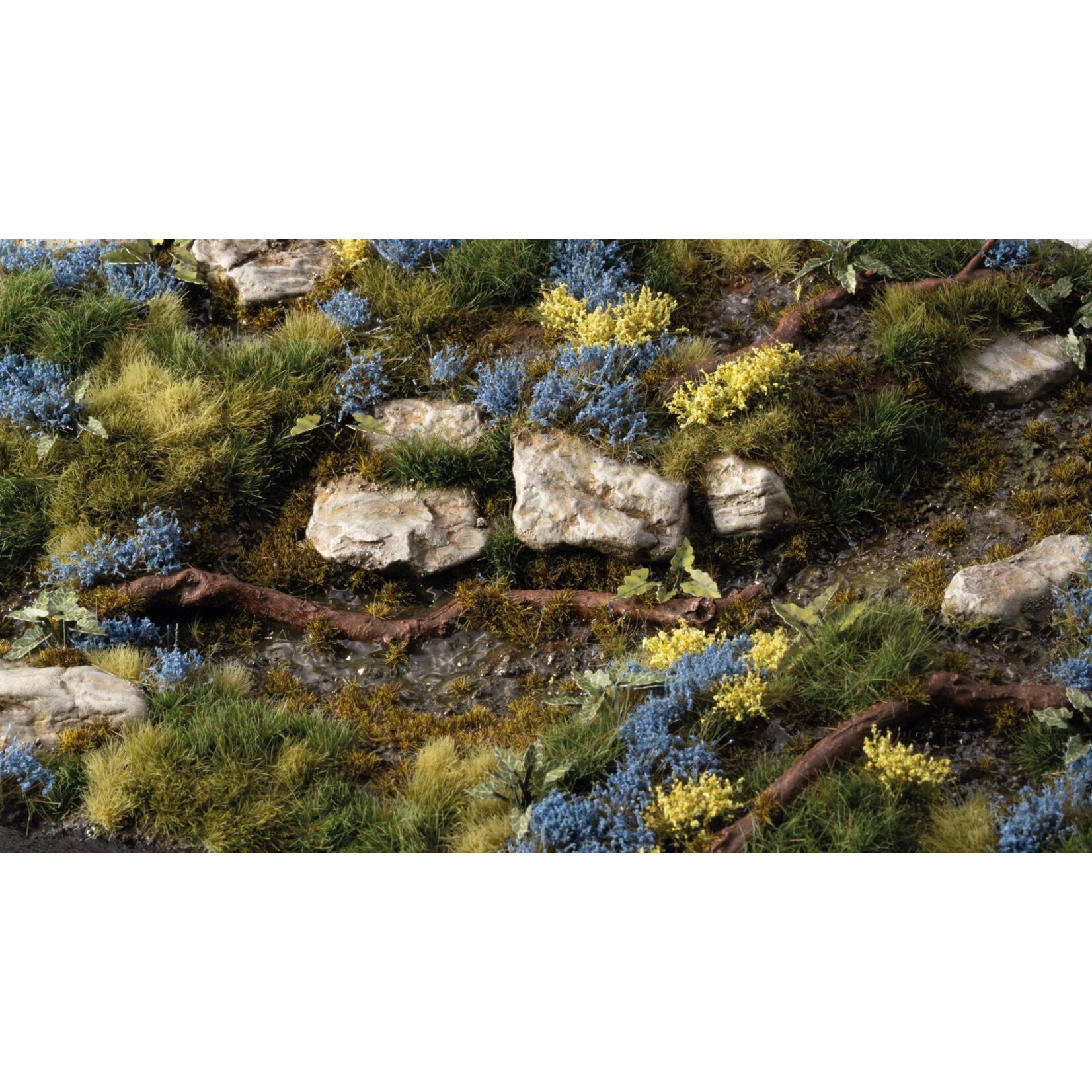 Gamers Grass Bluebeard Flowers