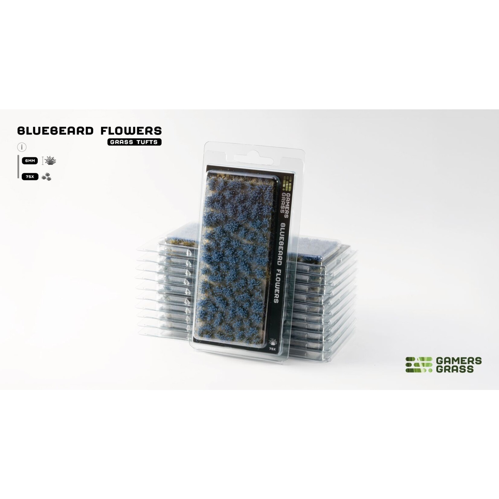 Gamers Grass Bluebeard Flowers