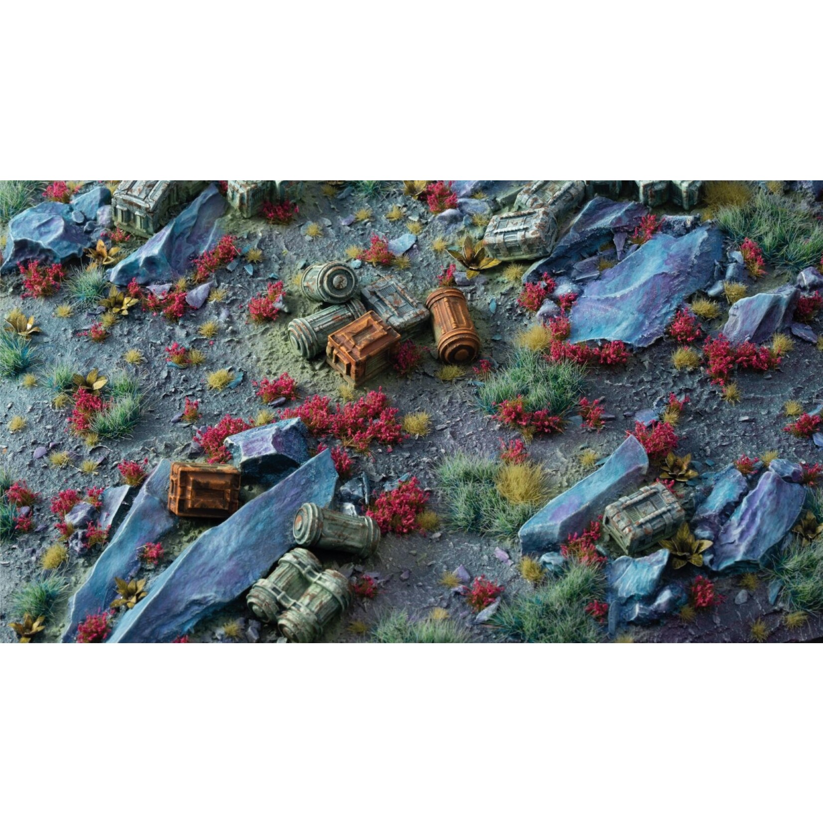 Gamers Grass Garnet Tulip Tiny Flowers