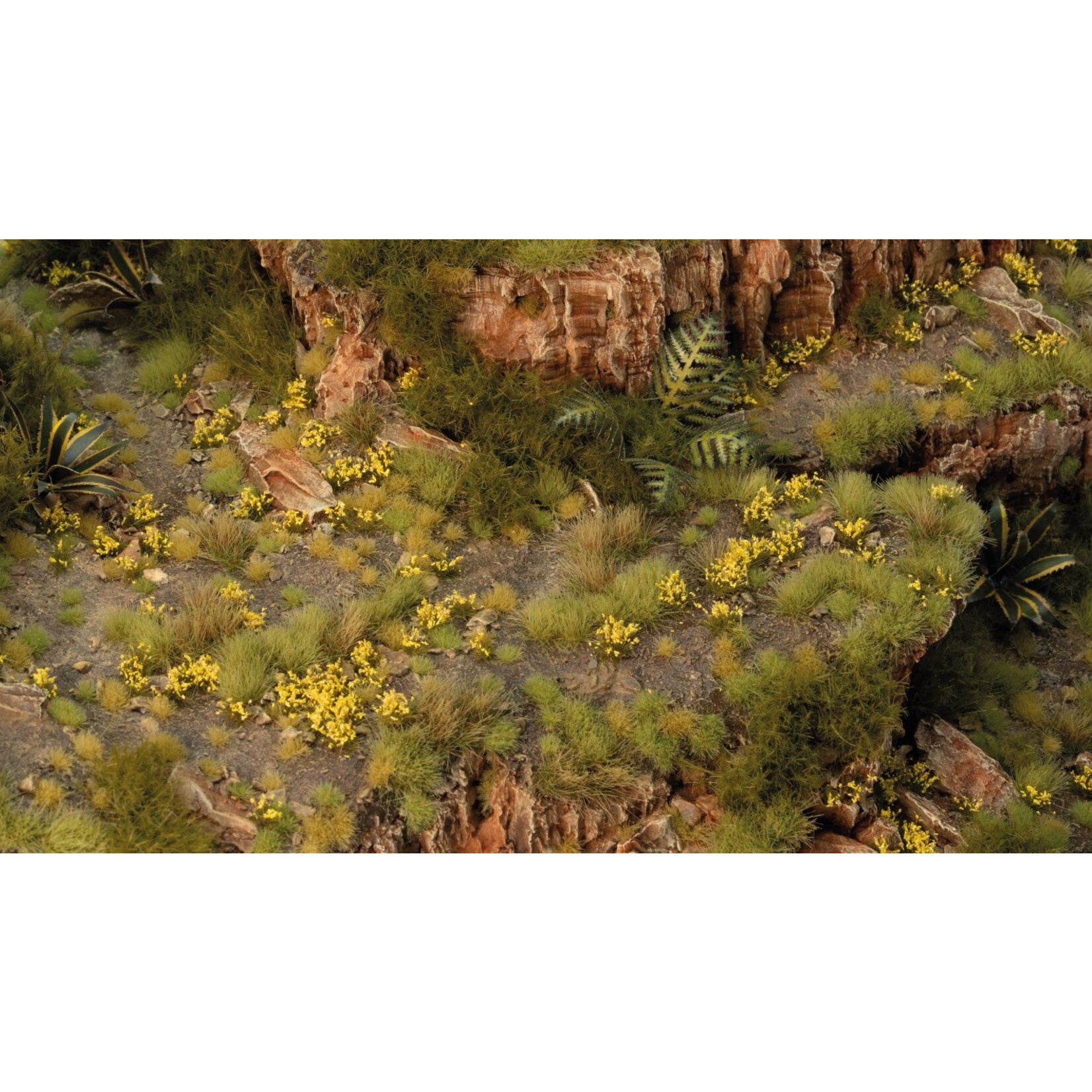 Gamers Grass Dandelion Tiny Flowers