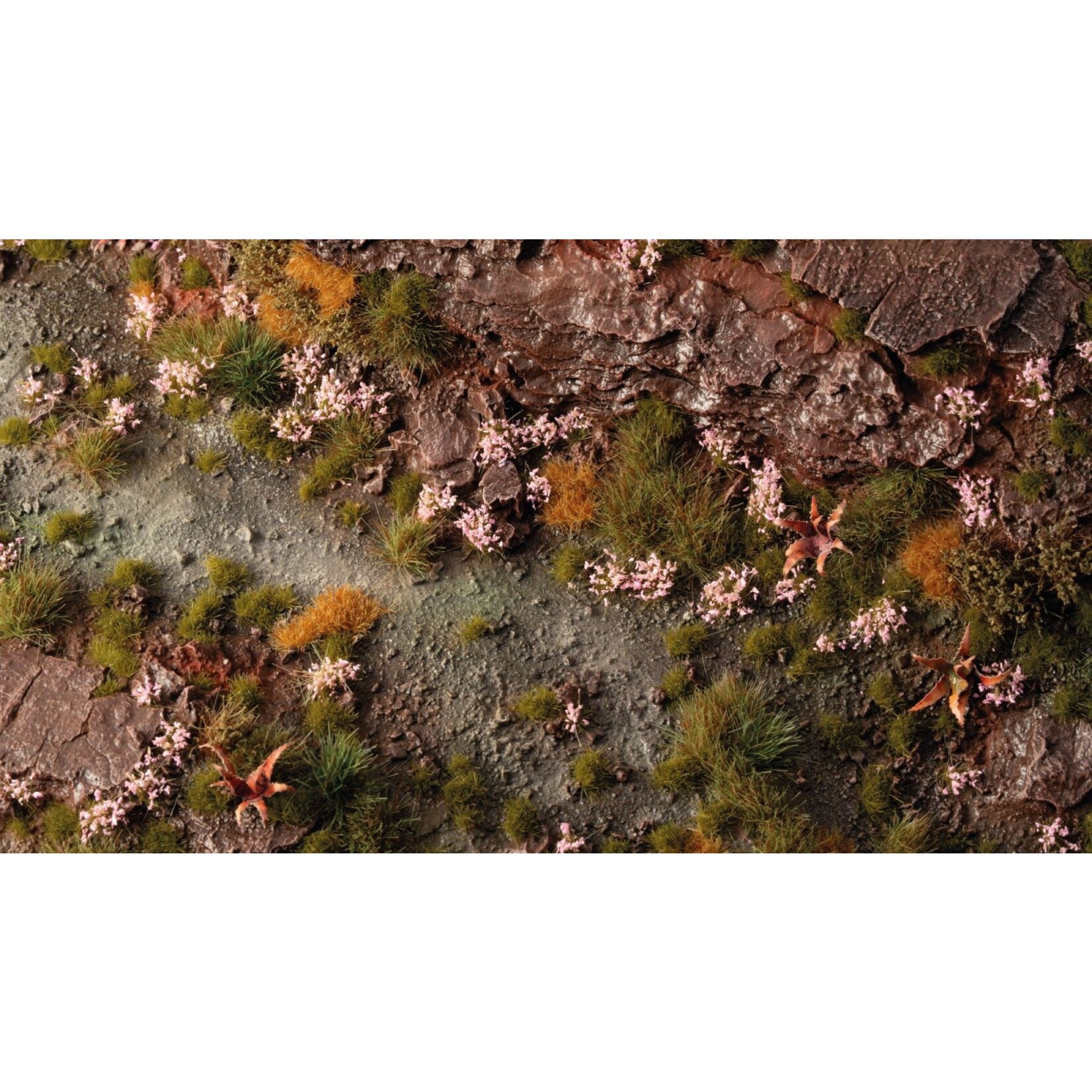 Gamers Grass Pink Orchid Tiny Flowers