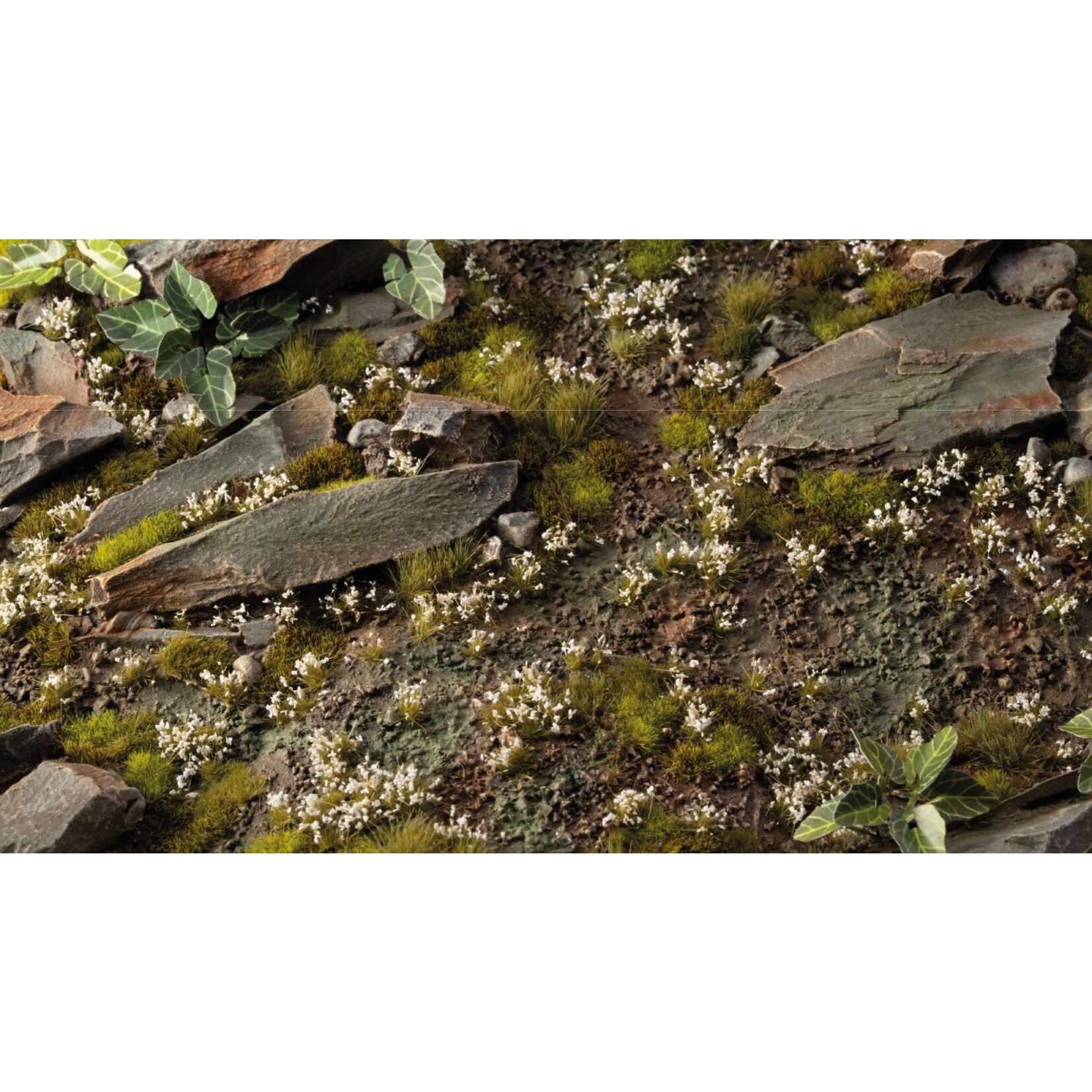 Gamers Grass White Lily Tiny Flowers