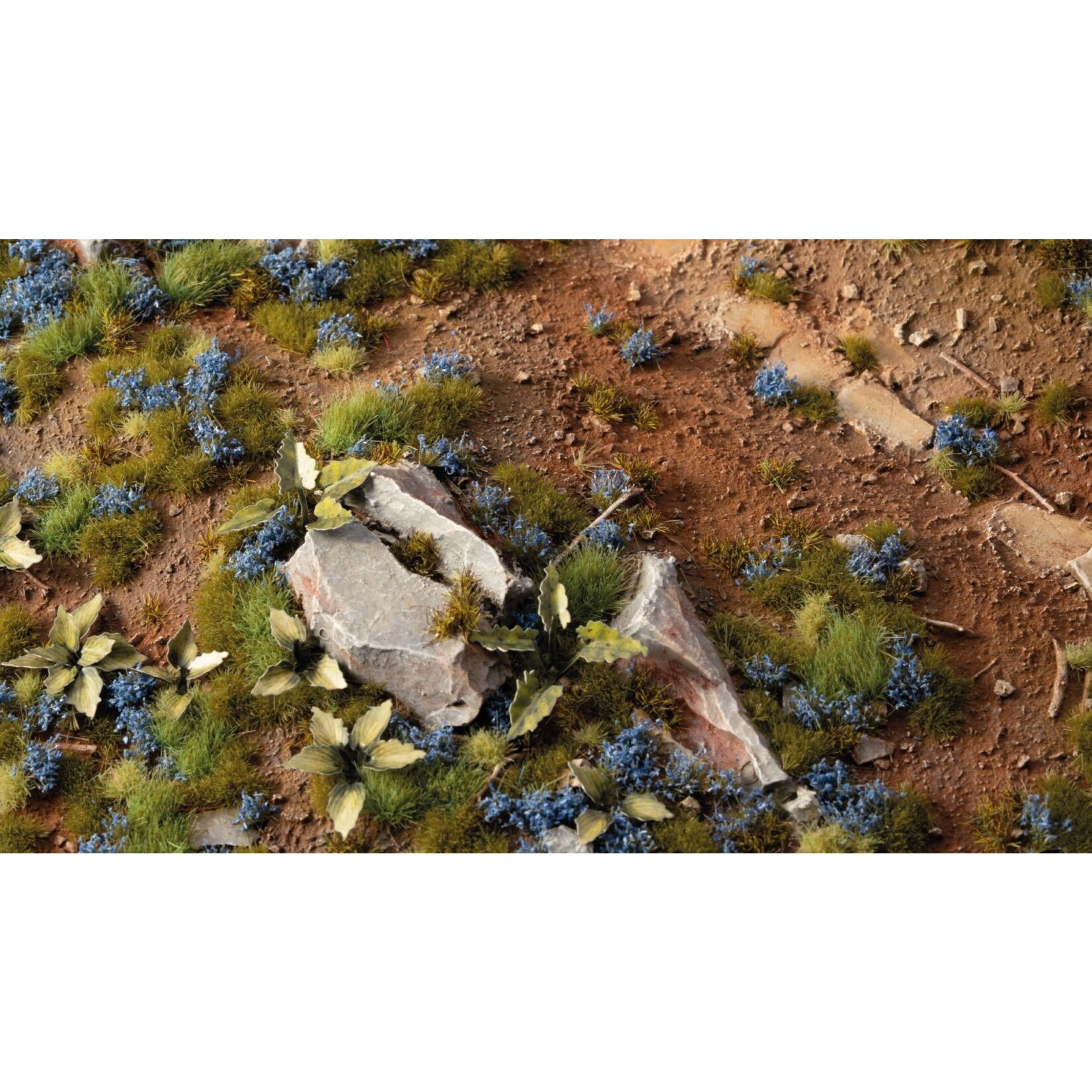 Gamers Grass Cornflower Tiny Flowers