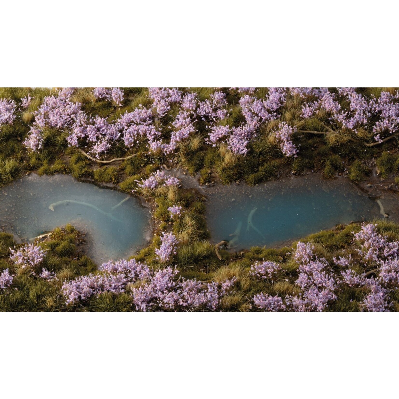 Gamers Grass Lavender Flowers