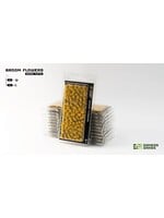 Gamers Grass Broom Flowers