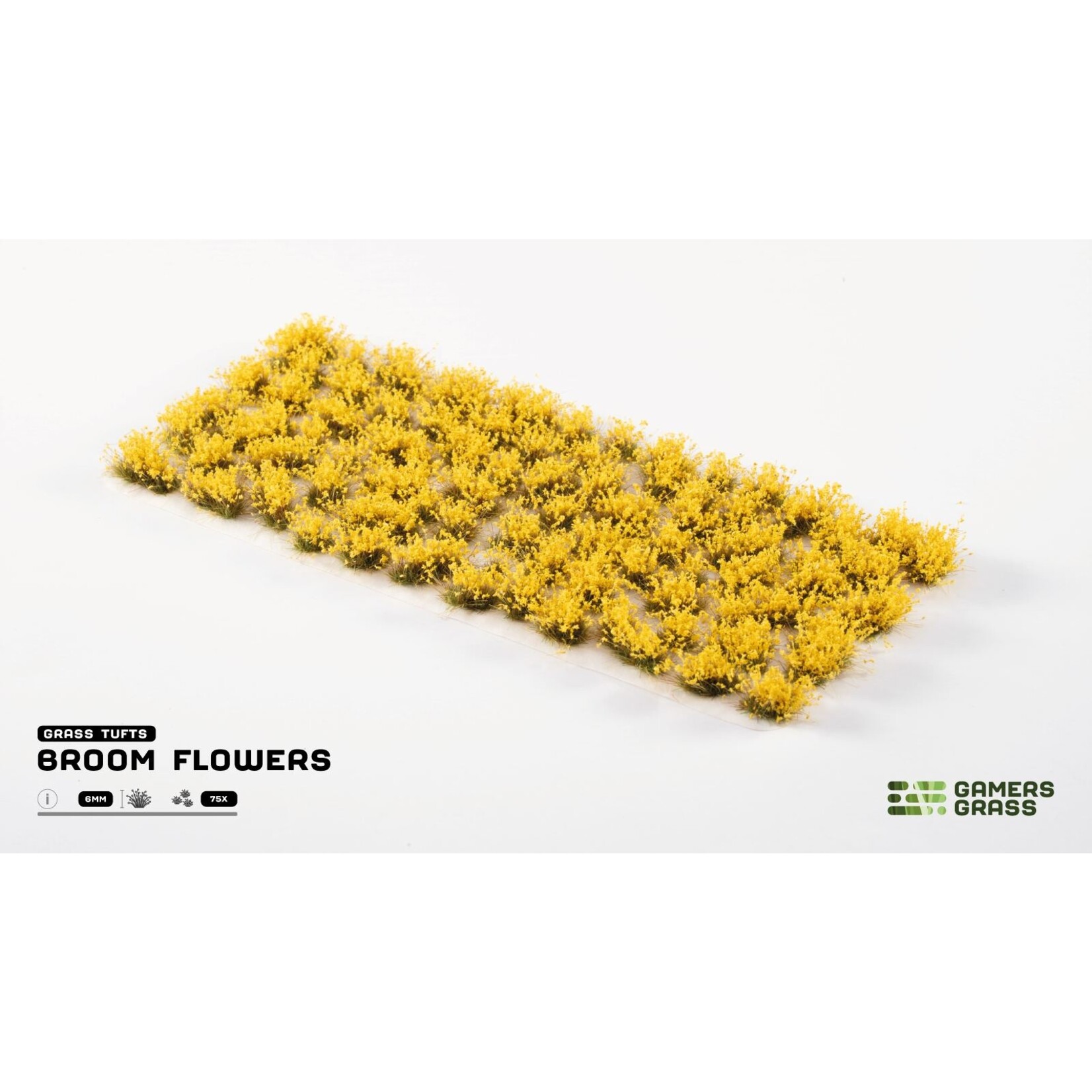 Gamers Grass Broom Flowers