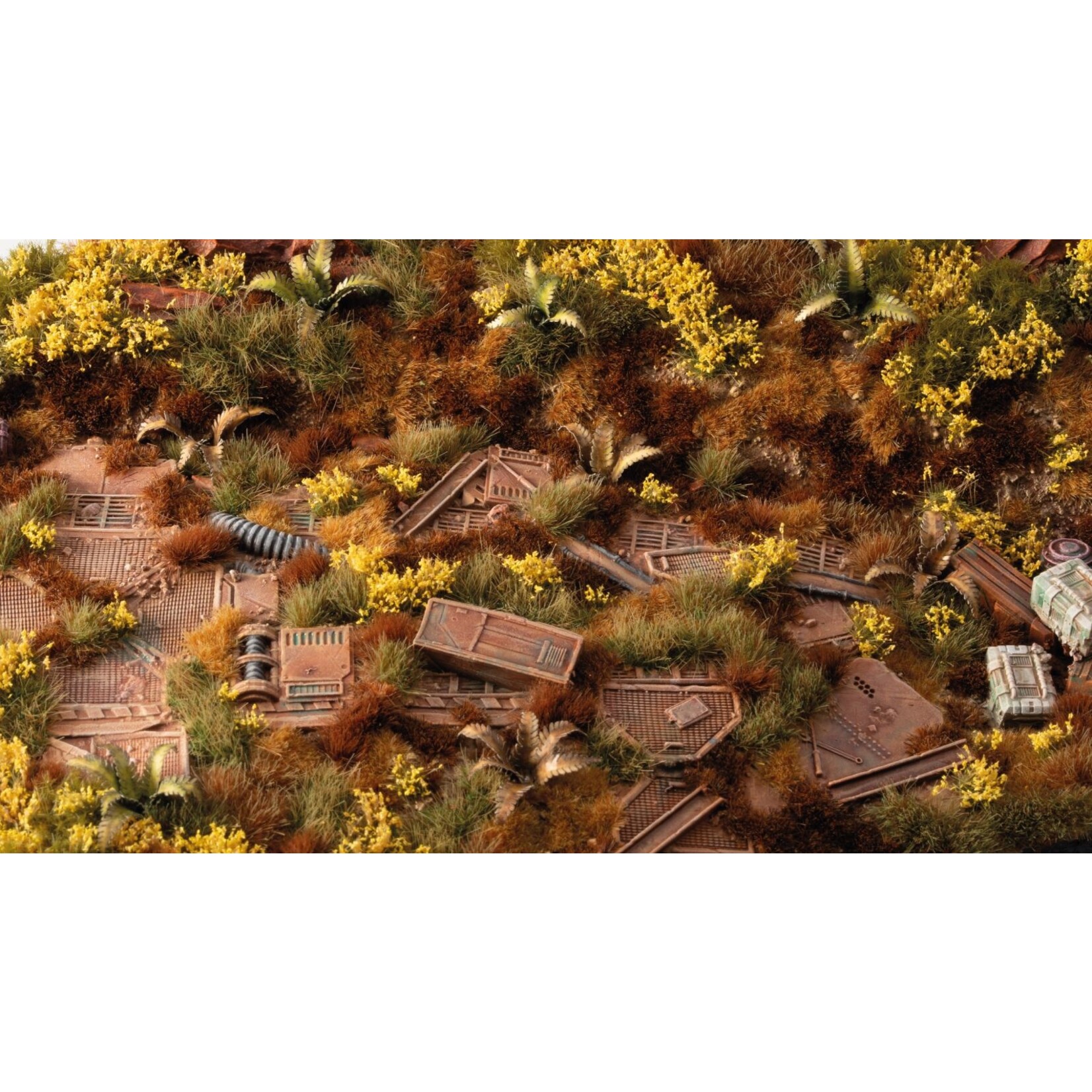 Gamers Grass Broom Flowers